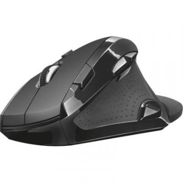 Мышка Trust Vergo Wireless ergonomic comfort Фото