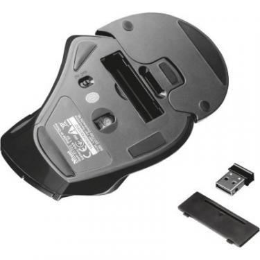 Мышка Trust Vergo Wireless ergonomic comfort Фото 5