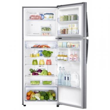 Холодильник Samsung RT38K5400S9/UA Фото 5