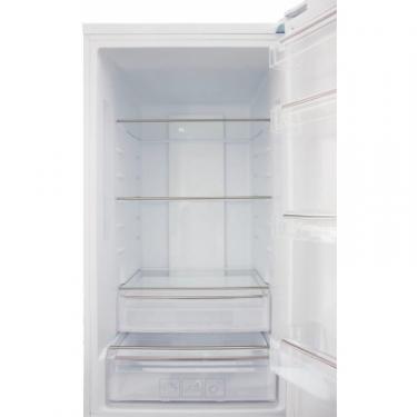 Холодильник PRIME Technics RFN1801ED Фото 2