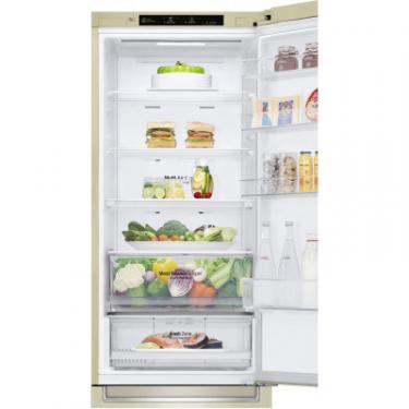 Холодильник LG GW-B509SEJZ Фото 9