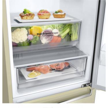 Холодильник LG GW-B509SEJZ Фото 10