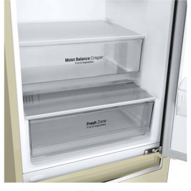 Холодильник LG GW-B509SEJZ Фото 11