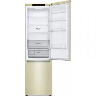 Холодильник LG GW-B509SEJZ Фото 4