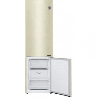 Холодильник LG GW-B509SEJZ Фото 5