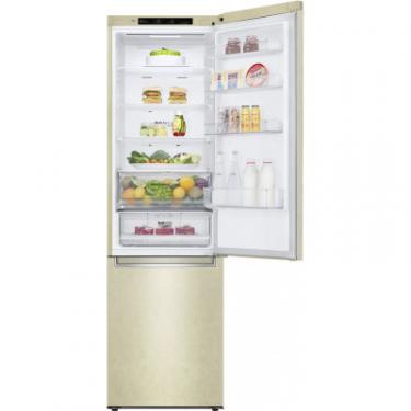Холодильник LG GW-B509SEJZ Фото 6