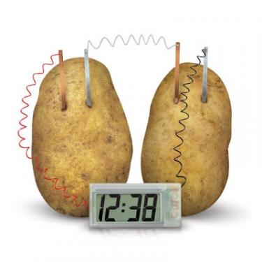 Набор для экспериментов 4М Картофельные часы Фото 2