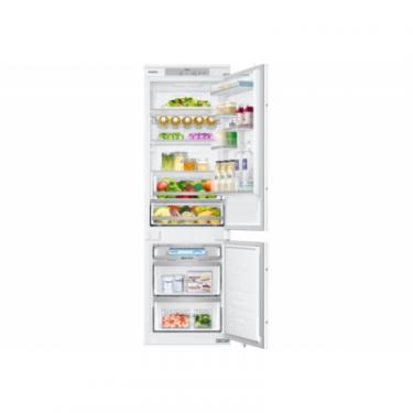 Холодильник Samsung BRB260030WW/UA Фото 4