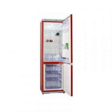Холодильник Snaige RF58SM-S5RP210 Фото 1
