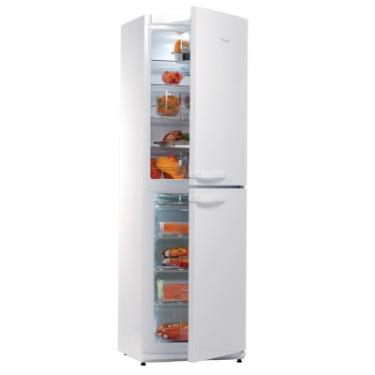 Холодильник Snaige RF35SM-P10022 Фото 2