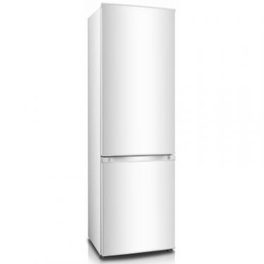 Холодильник Edler ED-35DC/W Фото 1