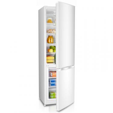 Холодильник Edler ED-35DC/W Фото 3