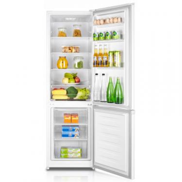 Холодильник Edler ED-35DC/W Фото 4
