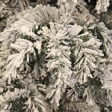 Рождественский венок Black Box Trees Dinsmore Frosted 60 см Фото 1