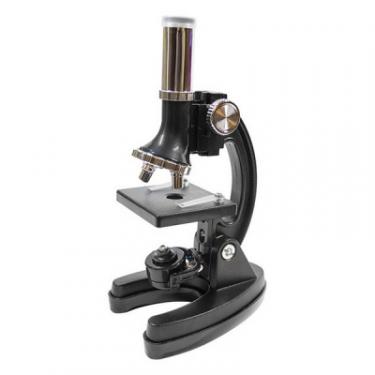 Микроскоп Optima Beginner 300x-1200x подарунковий набір Фото