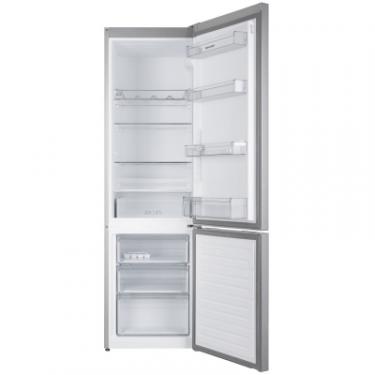 Холодильник Sharp SJ-BB05DTXL1-UA Фото 4