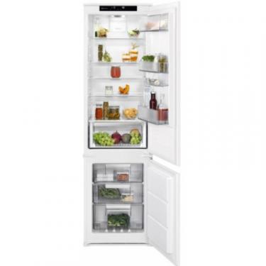 Холодильник Electrolux RNS6TE19S Фото
