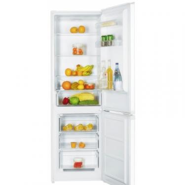 Холодильник Liberty HRF-355NGW Фото 1
