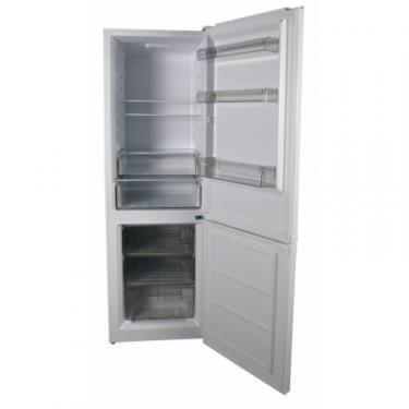 Холодильник Grunhelm GRW-185DD Фото 1