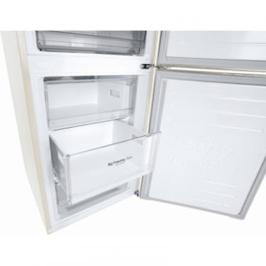 Холодильник LG GW-B509SEJM Фото 10