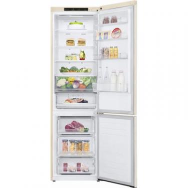 Холодильник LG GW-B509SEJM Фото 6