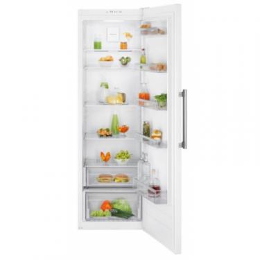 Холодильник Electrolux RRT5MF38W1 Фото 1