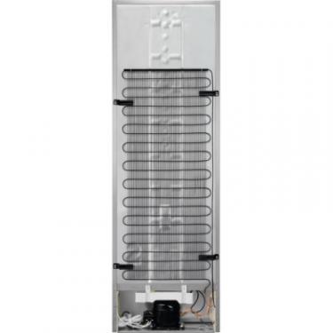 Холодильник Electrolux RRT5MF38W1 Фото 2