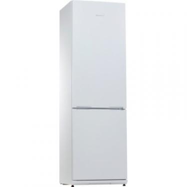 Холодильник Snaige RF39SM-P0002F Фото