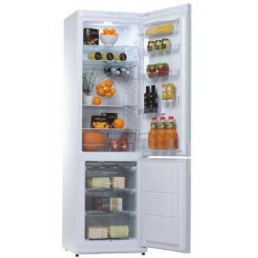 Холодильник Snaige RF39SM-P0002F Фото 2