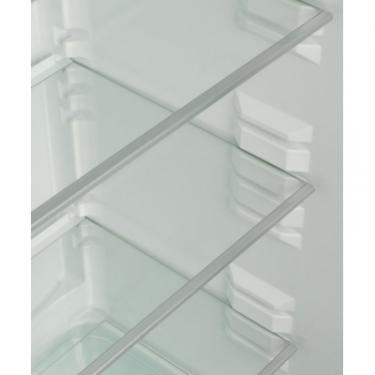 Холодильник Snaige RF39SM-P0002F Фото 7