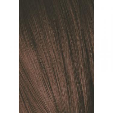 Краска для волос Schwarzkopf Professional Igora Royal 6-68 60 мл Фото 1
