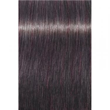 Краска для волос Schwarzkopf Professional Igora Royal Opulescence 8-19 Сандрэ фиолетовый 60 Фото 1