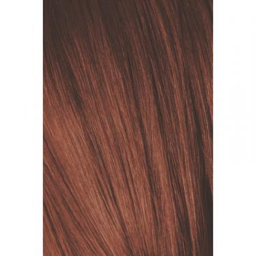 Краска для волос Schwarzkopf Professional Igora Royal Absolutes 6-80 Красный натуральный 60 Фото 1