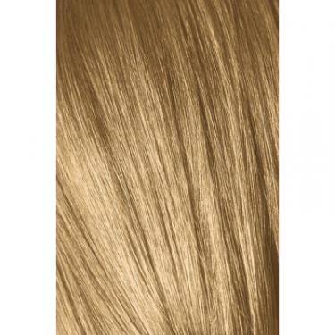 Краска для волос Schwarzkopf Professional Igora Royal Absolutes 9-50 Золотистый натуральный Фото 1