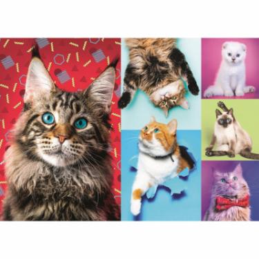 Пазл Trefl Веселі коти , 1000 елементів Фото 1