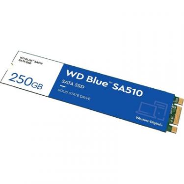 Накопитель SSD WD M.2 2280 250GB SA510 Фото