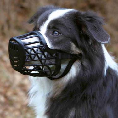 Намордник для собак Trixie пластиковий для бордер-коллі M 22 см Фото 1