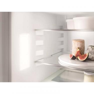 Холодильник Liebherr IRF5101 Фото 5