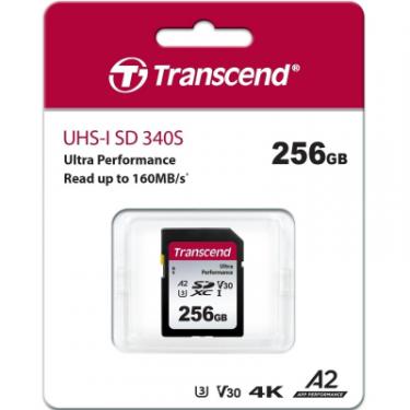 Карта памяти Transcend 256GB SD class 10 UHS-I U3 4K Фото 4