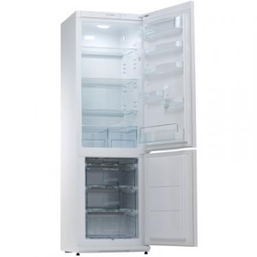 Холодильник Snaige RF36SM-S0002E Фото 1
