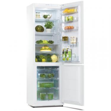 Холодильник Snaige RF36SM-S0002E Фото 2