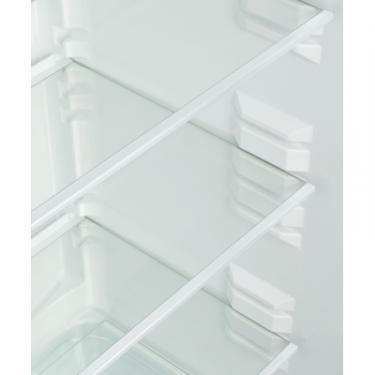 Холодильник Snaige RF36SM-S0002E Фото 8