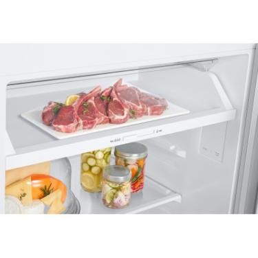 Холодильник Samsung RT47CG6442WWUA Фото 7