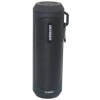 Акустическая система Greenwave PS-601WP black Фото