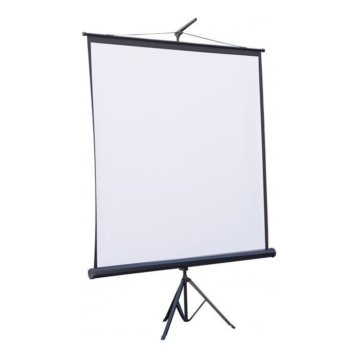 Проекционный экран Atria TRM-NTSC-84D Фото