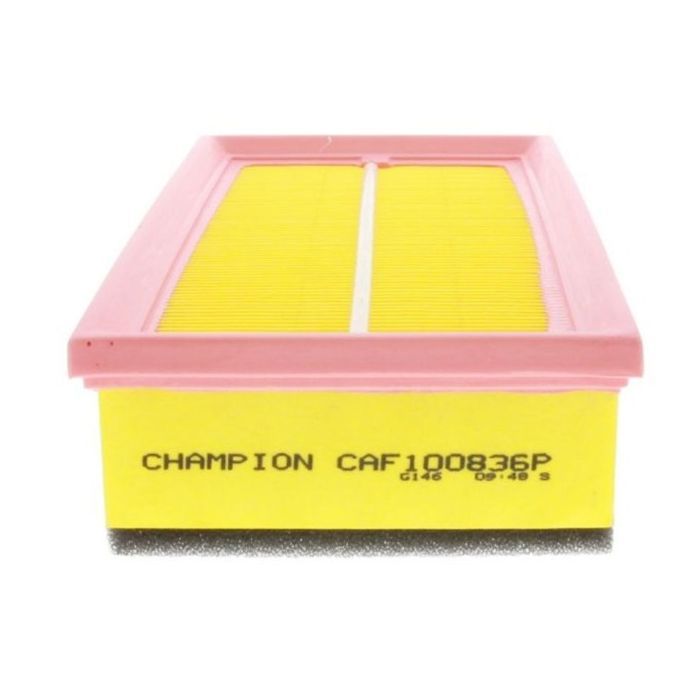 Воздушный фильтр для автомобиля Champion CAF100836P Фото