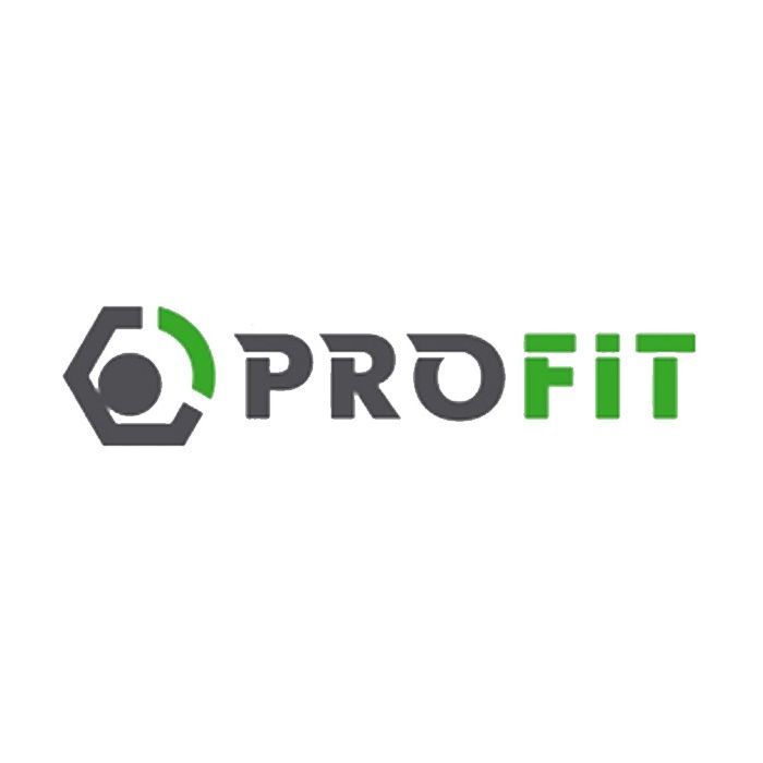 Воздушный фильтр для автомобиля Profit 1512-4222 Фото