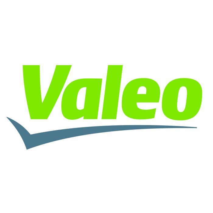 Воздушный фильтр для автомобиля Valeo 585024 Фото