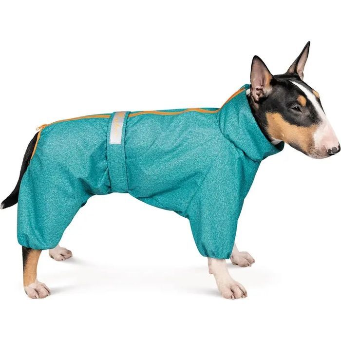 Комбинезон для животных Pet Fashion "RAIN" ML (бирюзовый) Фото