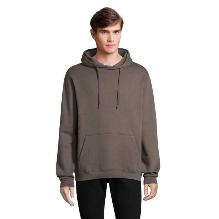 Худи Sol's Snake темно-сірий M Фото